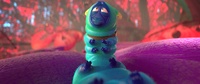 Franck the caterpillar 2
