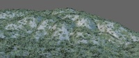 Windy grass test 1 - Viewport render