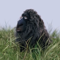 Franck on Monday, sitting in the grass