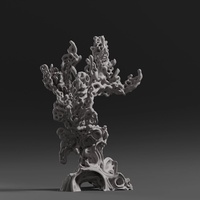 Coral rock 2 - asset turntables for the first 2 variations