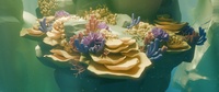 Reef shot v04