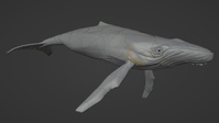 Whale - Shard Pattern Iteration