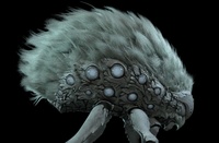 Alpha WIP 09 - Body Materials (Side)