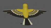 Bird Sculpting