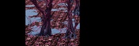 Forest test 2