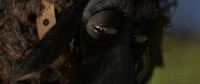 In Franck's eyes