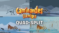 Quad-split