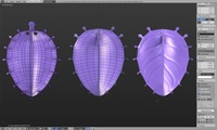 Hero leaf retopo