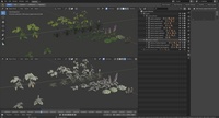 Plants