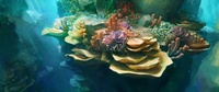 Reef shot - style frame paintover