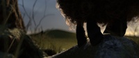The hanging: low-res with new lighting and hill