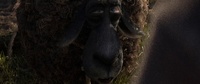 Franck is skeptical, re-sim