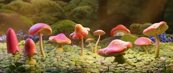 Mushroom proof of concept