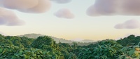 Forest Ending - Clouds