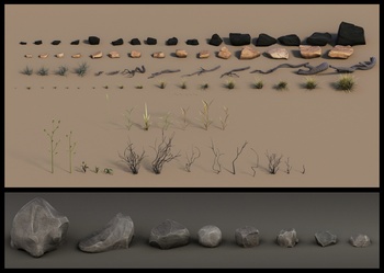 Plants and Rocks Collection