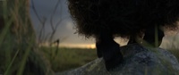 Franck's effing hooves, less noise