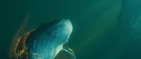 260_return-lighting-v008