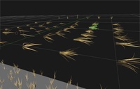 windygrass.mp4