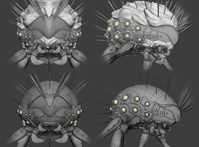 Alpha WIP 03 - Sculpting & Retopo