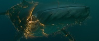 210_0010 - Anim2D Paintover File