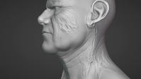 Einar - Head Skin Sculpting