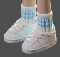 rex_shoes_and_socks.png