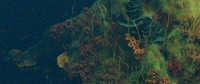 Set Dressing Reef