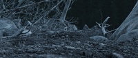 06_070_A - Render Test #01