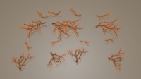 Falling branch caches - Softbody cages