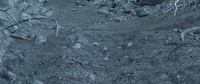 06_075_A - Render Test #01