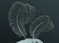 Alpha WIP 13 - Antenna Material update