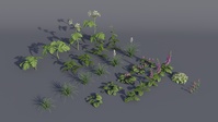 Flower Assets - Test