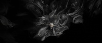 Abyss shape exploration - wide shot 1 anim render