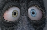 Franck's eyes: shading