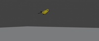 Bird flycycle test (loop)