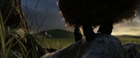 Franck hangs himself (video)