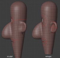 Jay head, side - retopo