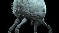 Alpha WIP 09 - Body Materials (Front)