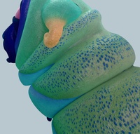 Mushroom caterpillar