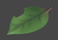 Snail Leaf Shading