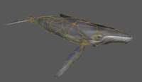 Whale Design V032 - Cracks