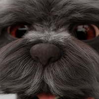 Autumn - Fur and texturing WIP 1