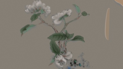 (Still) Flowers by FXZT