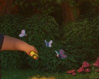Combusting Butterflies - FX