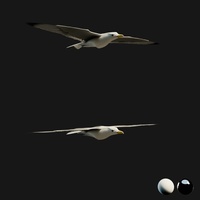 Seagull Review Turntable