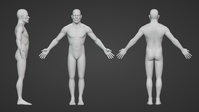Initial Base Mesh
