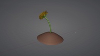 Small Dandelion