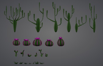 Desert Assets - Cacti