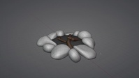 Campfire Place Model