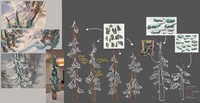 Pine foliage notes